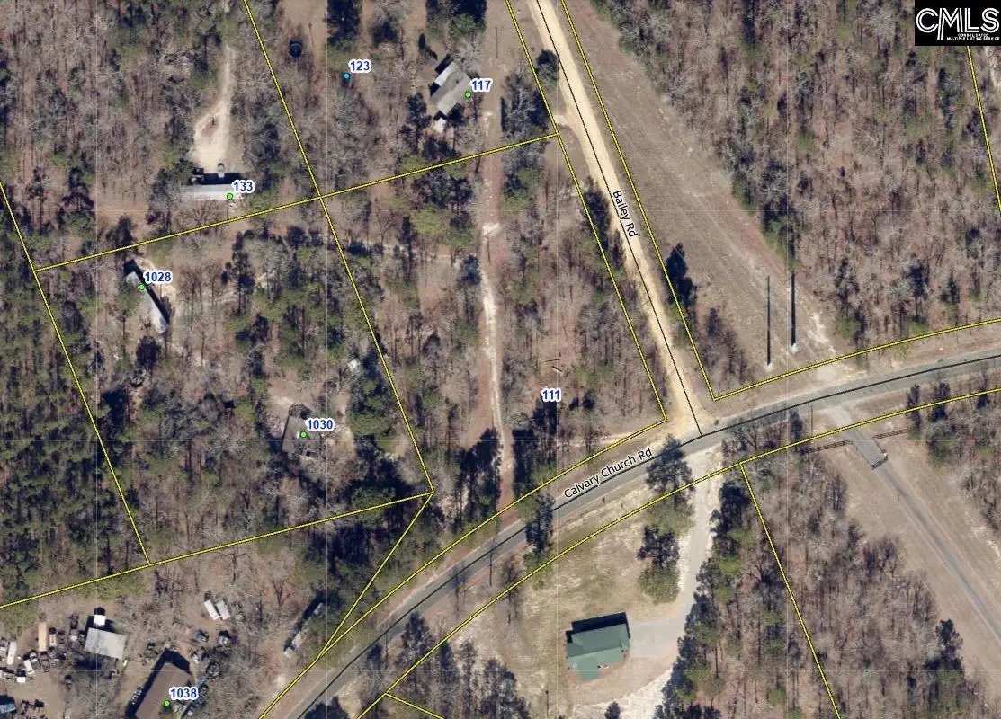 111 Bailey Road, Swansea, SC 29160 - #1