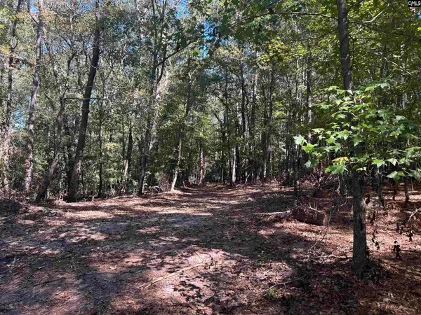 0 Swamp Rabbit Rd, Leesville, SC 29070