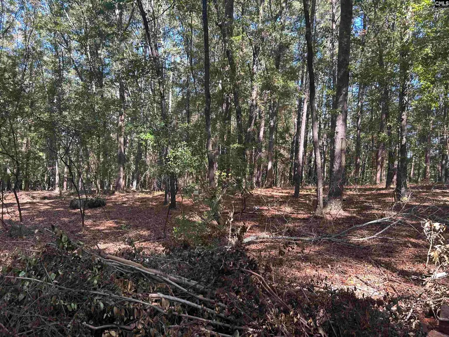 0 Swamp Rabbit Rd, Leesville, SC 29070 - #2