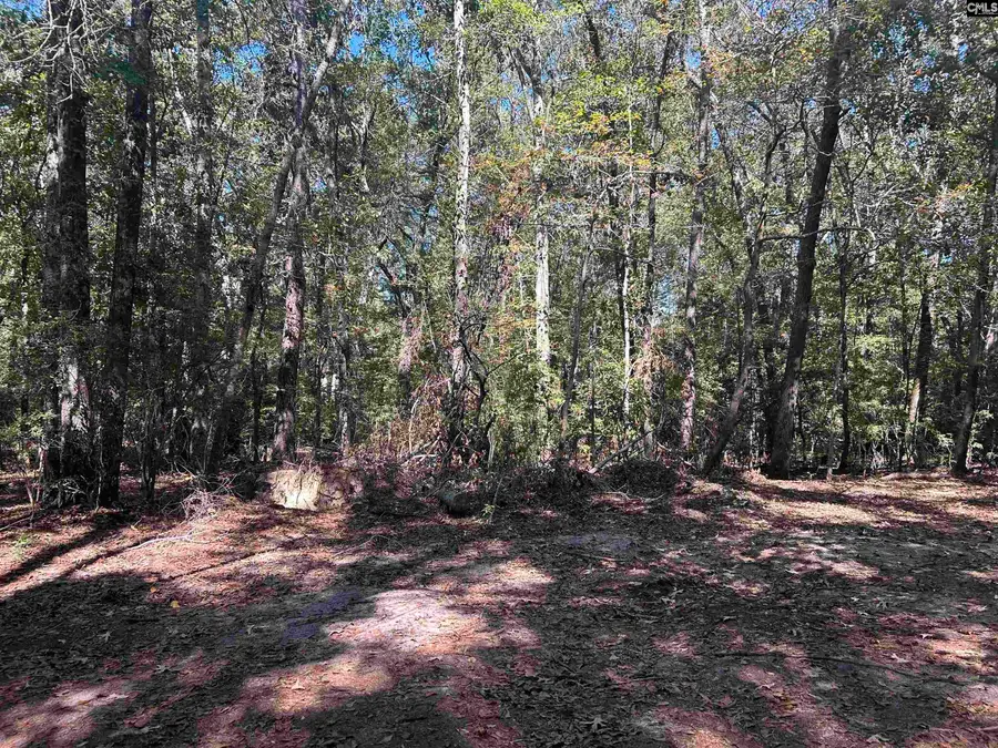 0 Swamp Rabbit Rd, Leesville, SC 29070 - #3