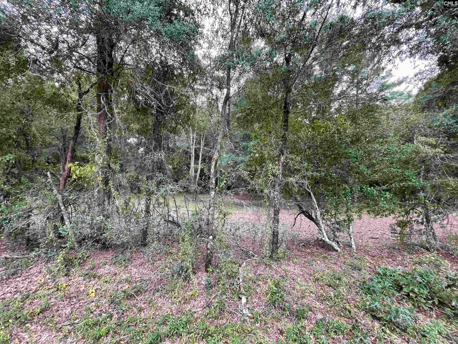 Lot B Warbonnet Road, Salley, SC 29137 - #3