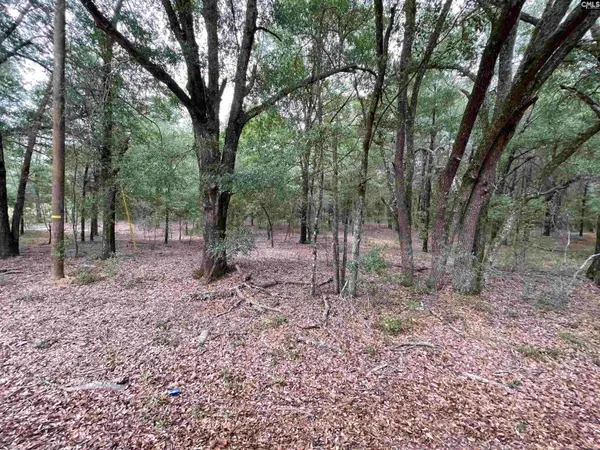 Lot C Warbonnet Road, Salley, SC 29137