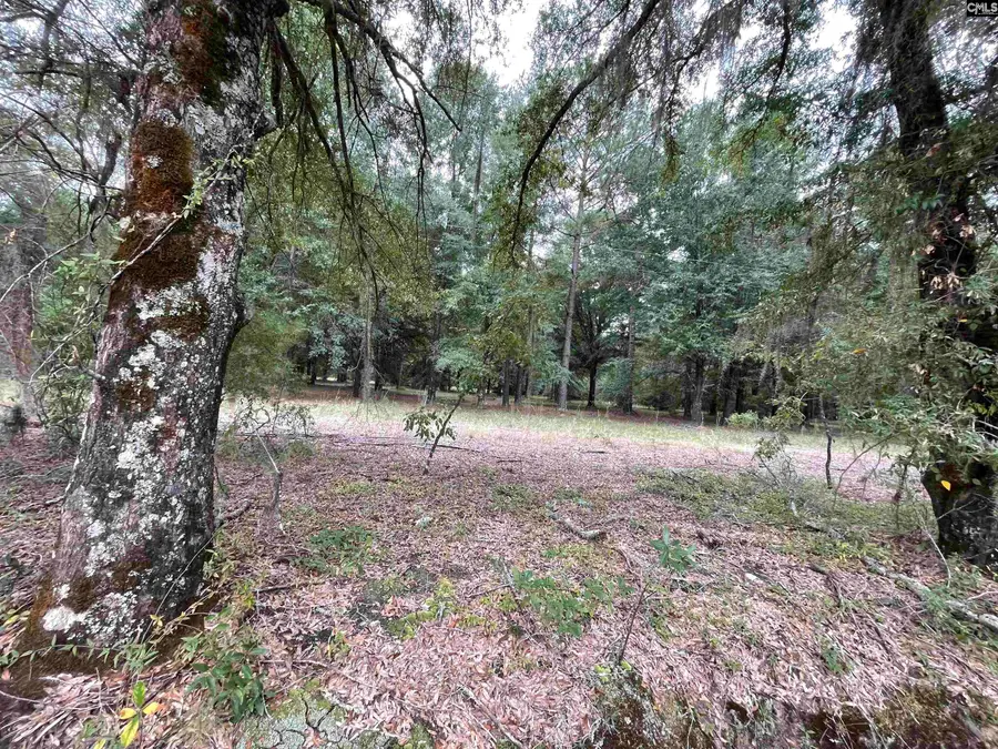 Lot D Warbonnet Road, Salley, SC 29137 - #2