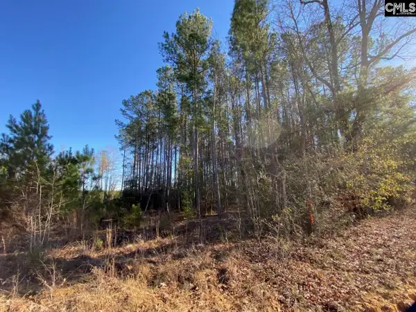 606 Stacey Bridge Road, North, SC 29118