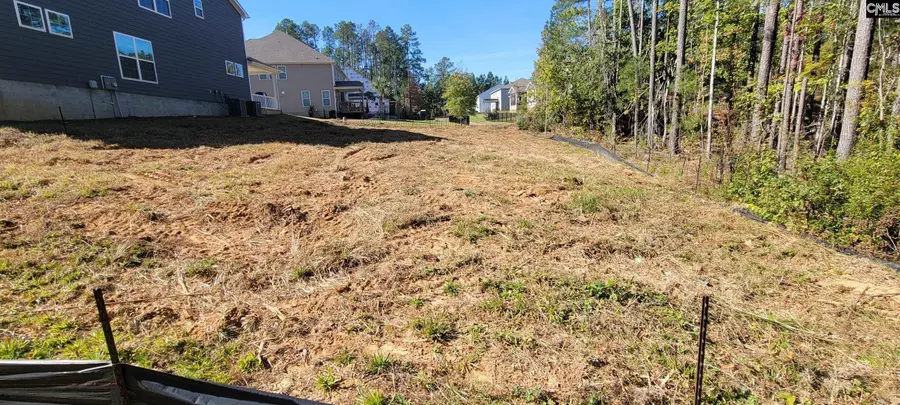 1005 Coogler Crossing Drive, Blythewood, SC 29016 - #2