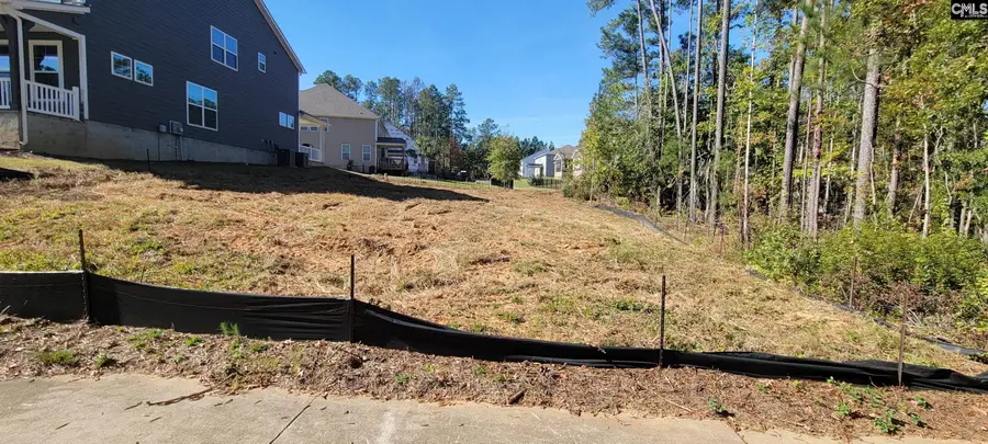 1005 Coogler Crossing Drive, Blythewood, SC 29016 - #3