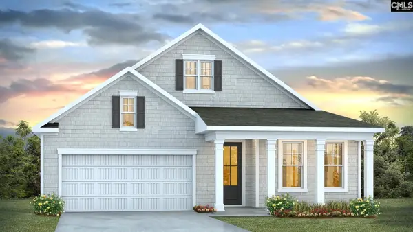 205 Sunny Stream Drive, Chapin, SC 29036