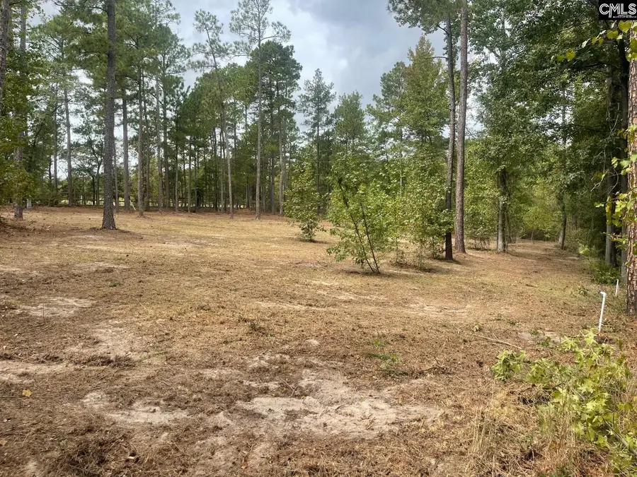 3520 Richardson Road, Kershaw, SC 29067 - #3