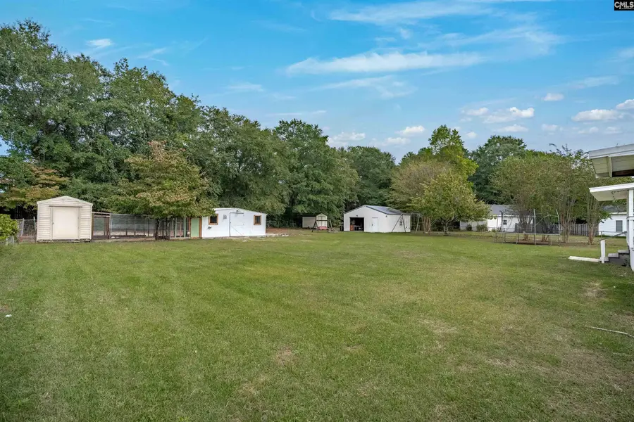 113 Juanita Drive, Lexington, SC 29072 - #3