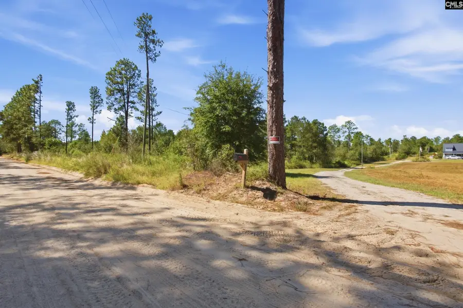 0 Martin Smith Road, Gilbert, SC 29054 - #2
