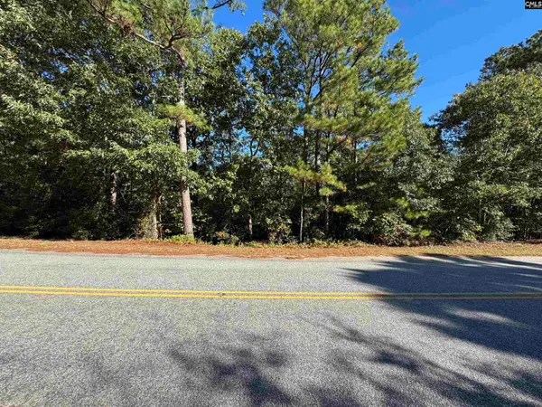 TBD Ruth Vista Rd, Lexington, SC 29073