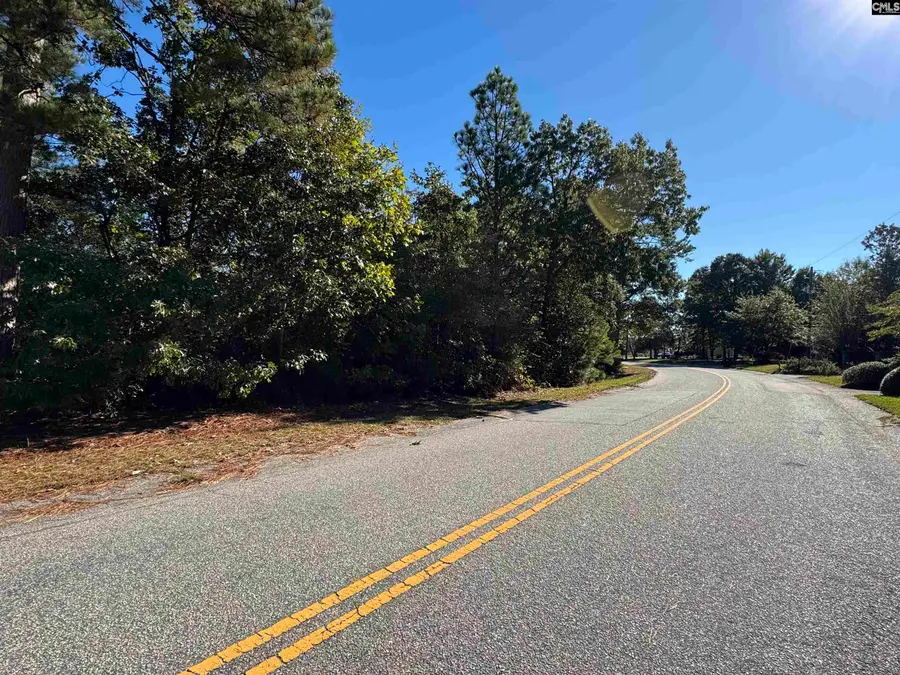 TBD Ruth Vista Rd, Lexington, SC 29073 - #2