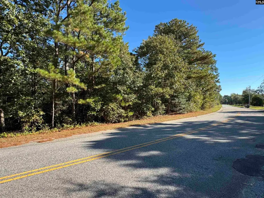TBD Ruth Vista Rd, Lexington, SC 29073 - #3