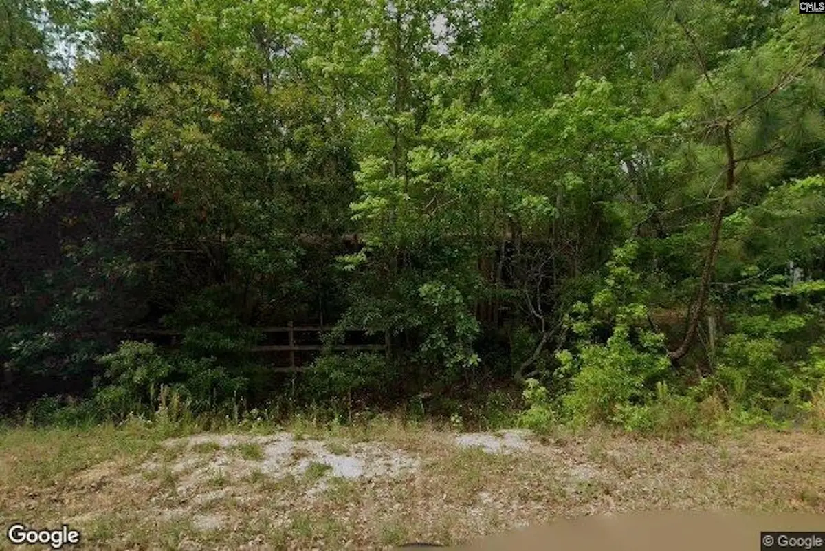 335 Railroad Avenue, Bamberg, SC 29003 - #1