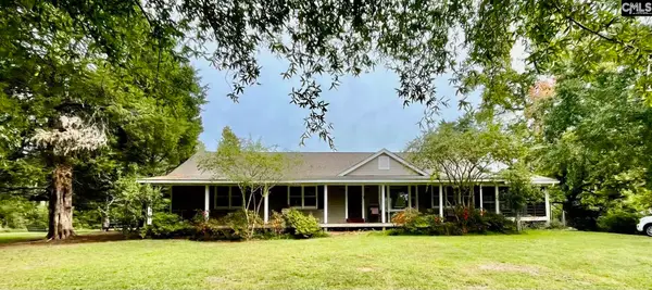 238 Joe Free Road, Chapin, SC 29036