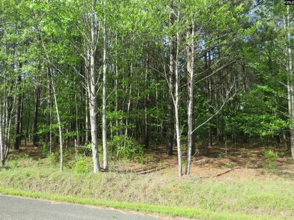S/s Old Eastover Road, Eastover, SC 29044