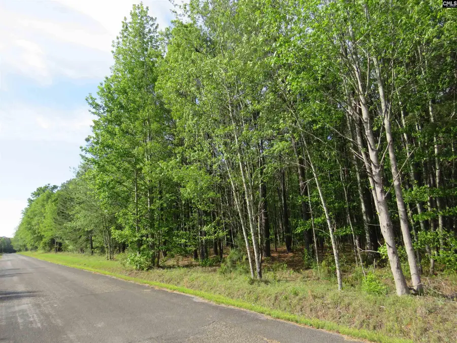 S/s Old Eastover Road, Eastover, SC 29044 - #2