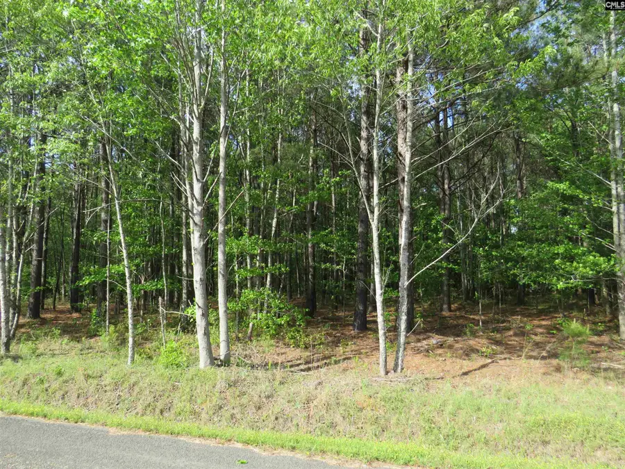 S/s Old Eastover Road, Eastover, SC 29044 - #3