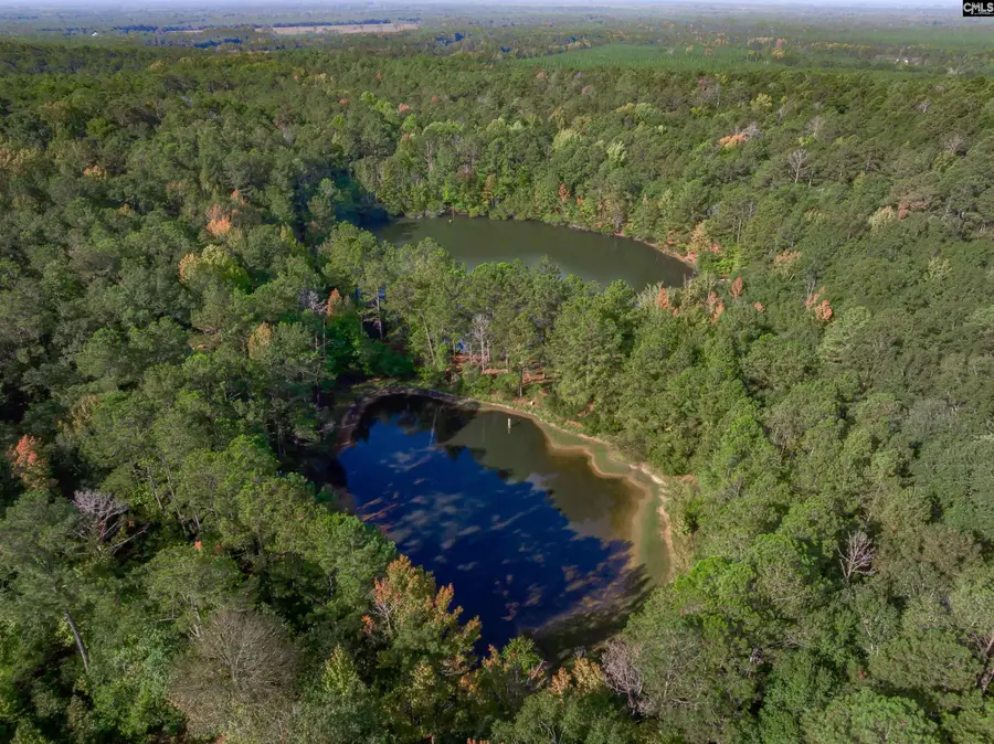3480 Ben Sanders Road, Dalzell, SC 29040 - #2