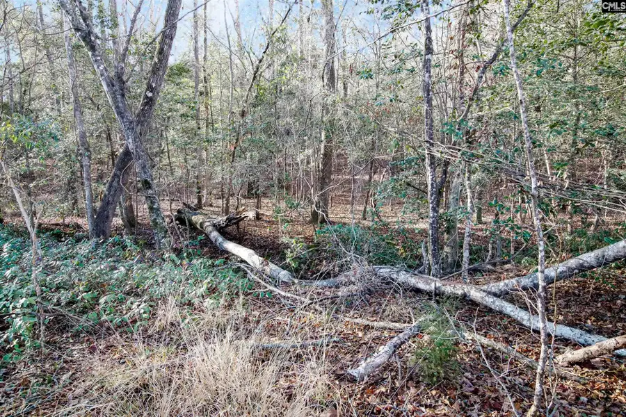 W S Wilson Boulevard, Columbia, SC 29203 - #3
