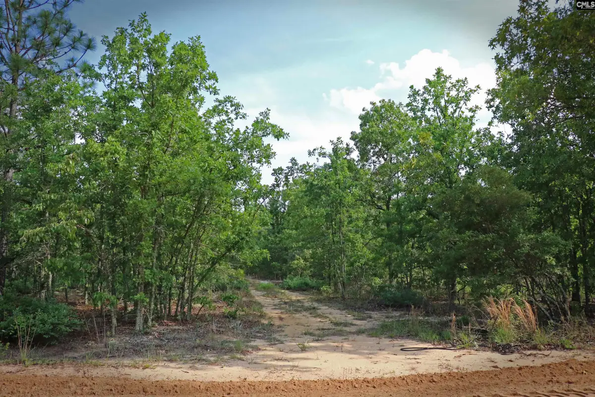 TBD Webbs Pond, Williston, SC 29853 - #1