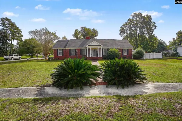 203 S Farr Avenue, Andrews, SC 29510