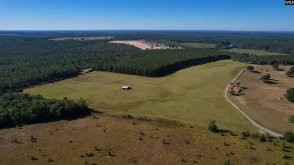 156 Big Sandy Road, Pelion, SC 29123