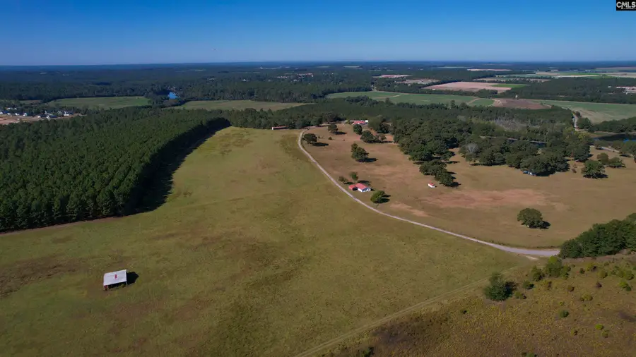 156 Big Sandy Road, Pelion, SC 29123 - #2