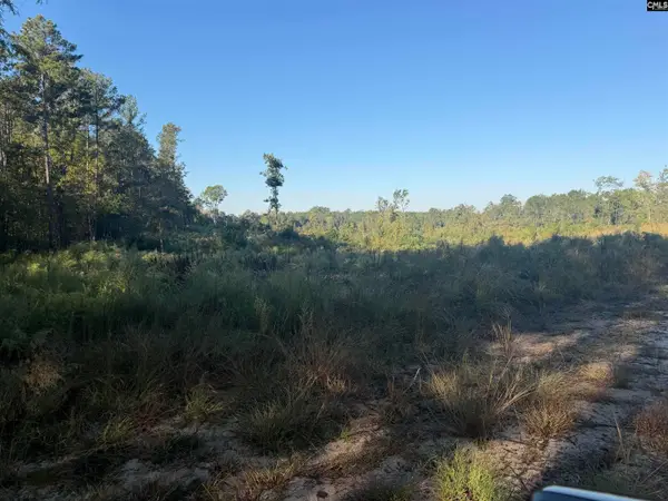 0 Sc Hwy 773 Highway, Pomaria, SC 29126