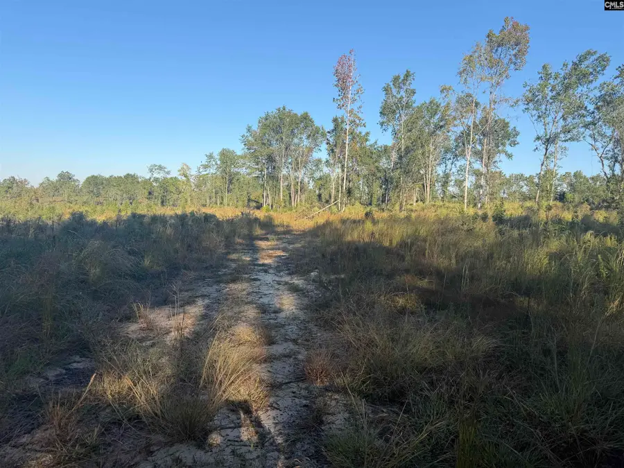 0 Sc Hwy 773 Highway, Pomaria, SC 29126 - #2