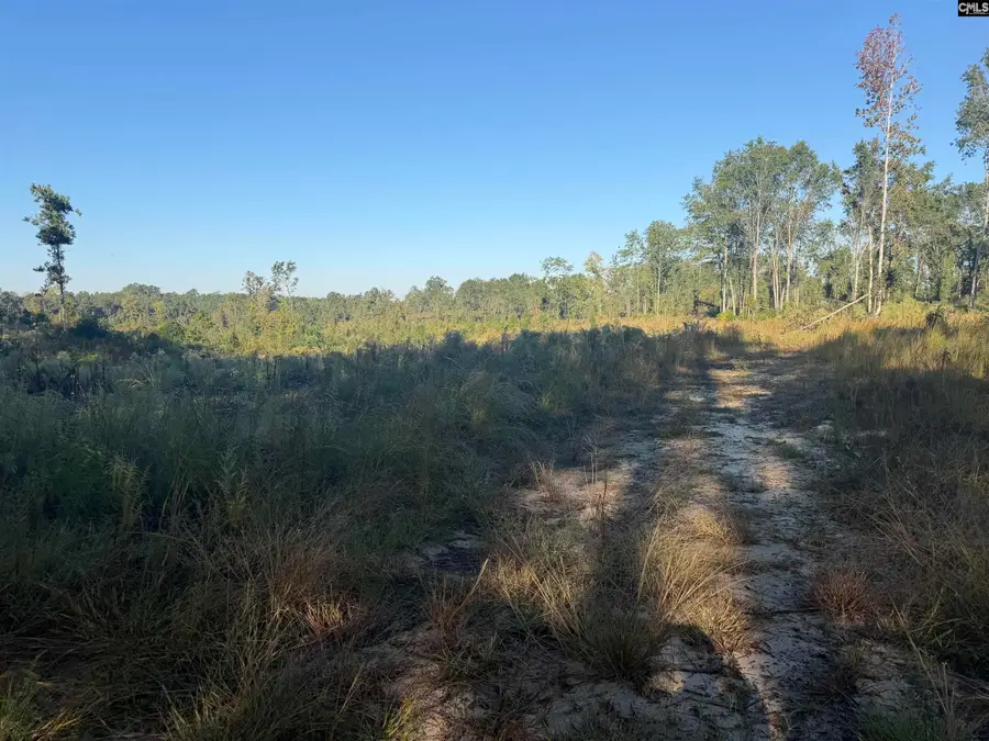 0 Sc Hwy 773 Highway, Pomaria, SC 29126 - #3