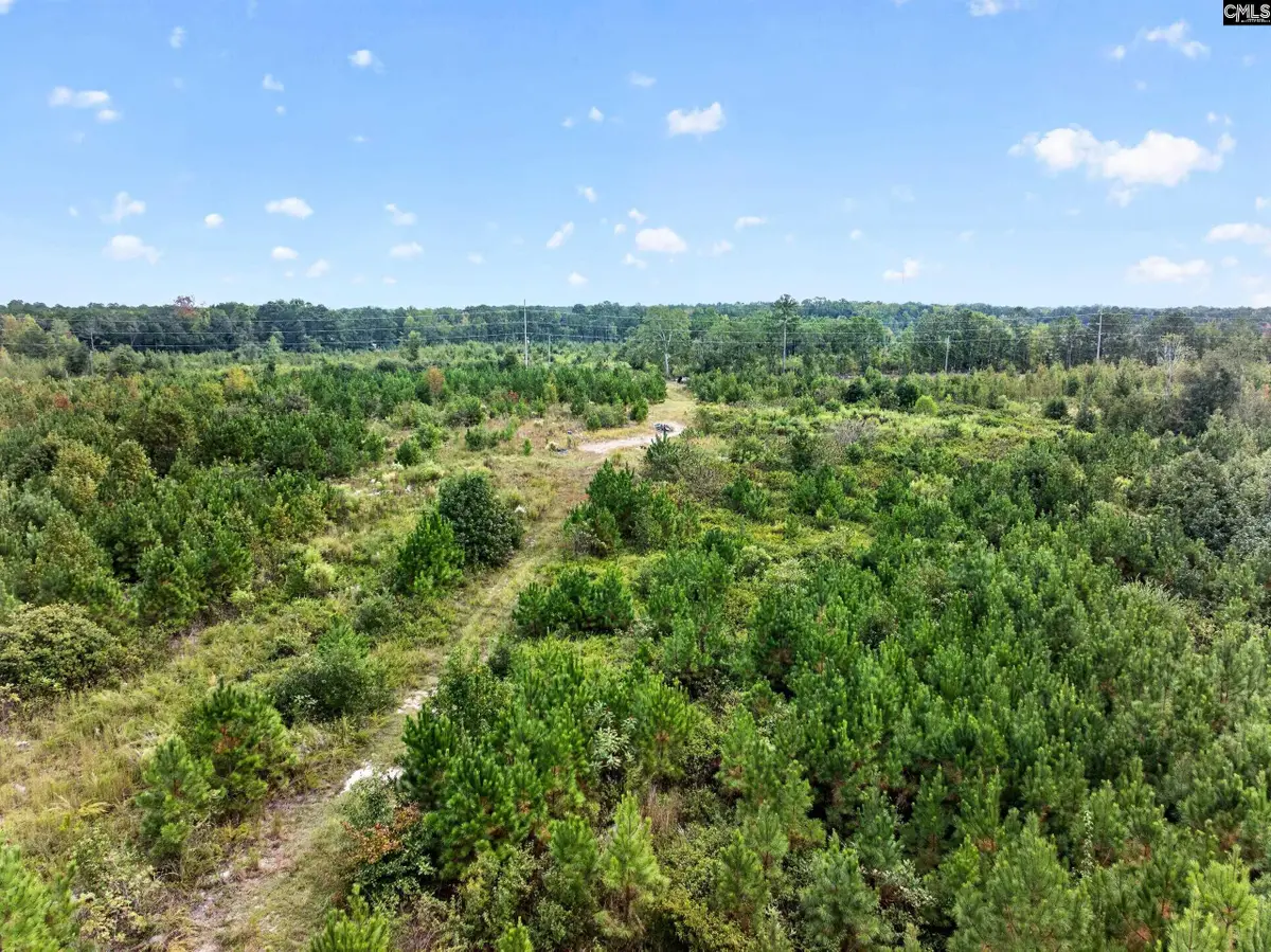 0000 Line Road #4, Elgin, SC 29045 - #1
