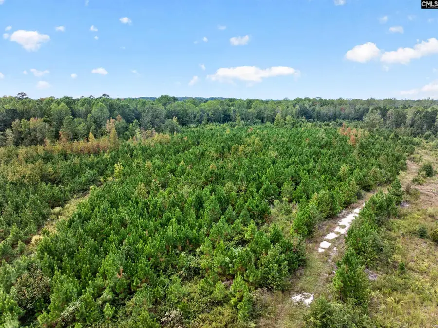 0000 Line Road #4, Elgin, SC 29045 - #3