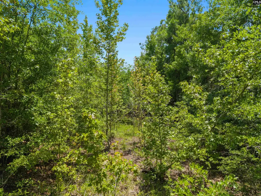 901 Saint Paul Lane, Camden, SC 29020 - #3