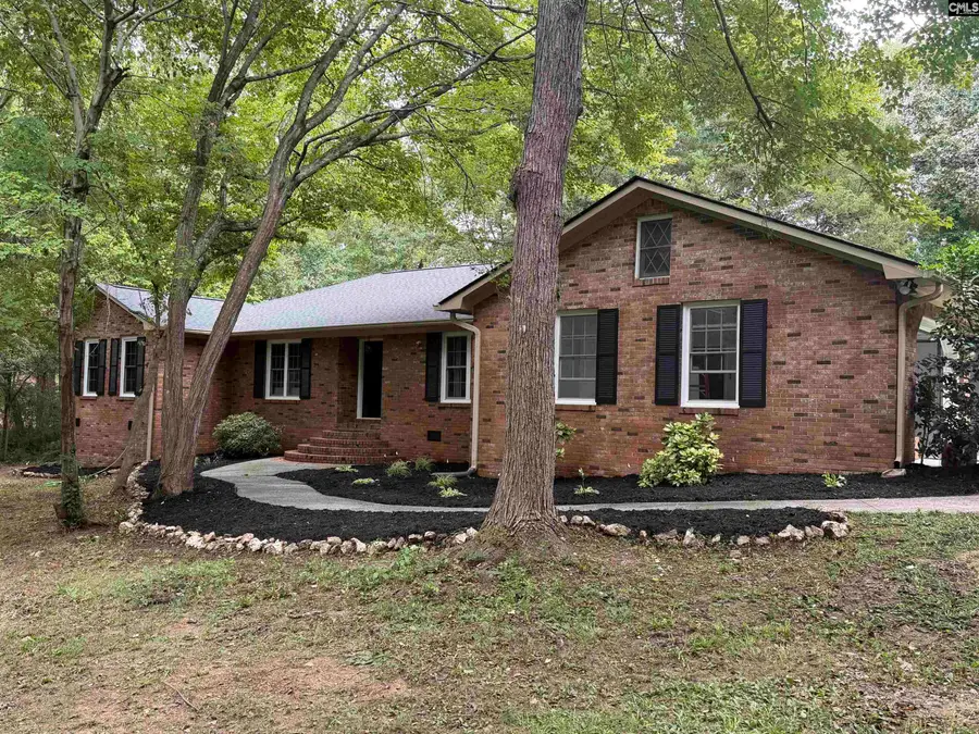1113 Three Dog Road, Chapin, SC 29036 - #2