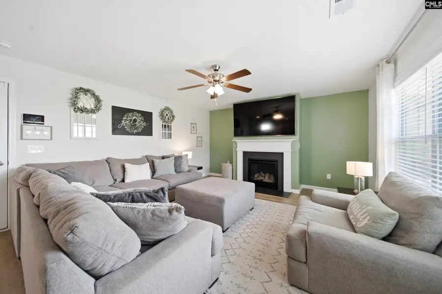 938 Native Rye Way, Lexington, SC 29073 - #3