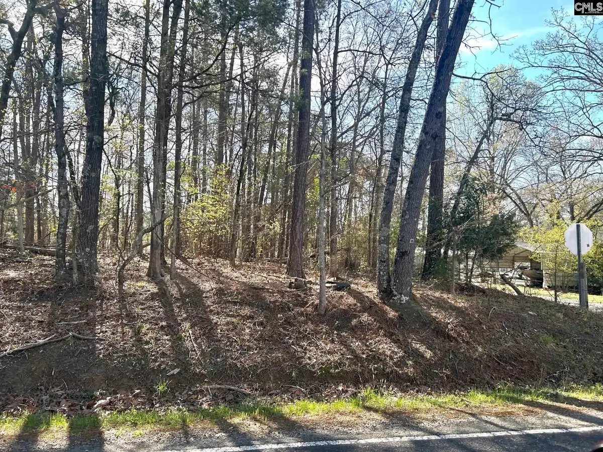 Holley Ferry Road, Leesville, SC 29070 - #1