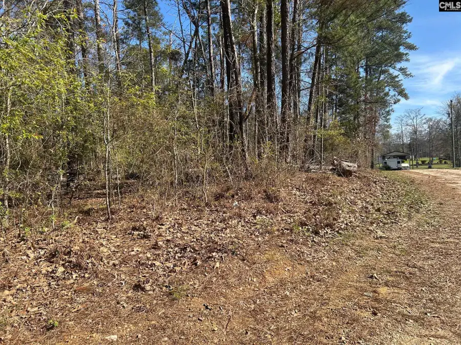 Holley Ferry Road, Leesville, SC 29070 - #3