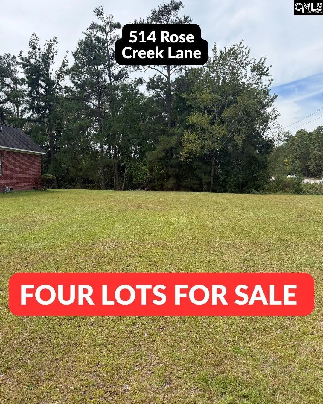 514 Rose Creek Lane, Columbia, SC 29229 - #1