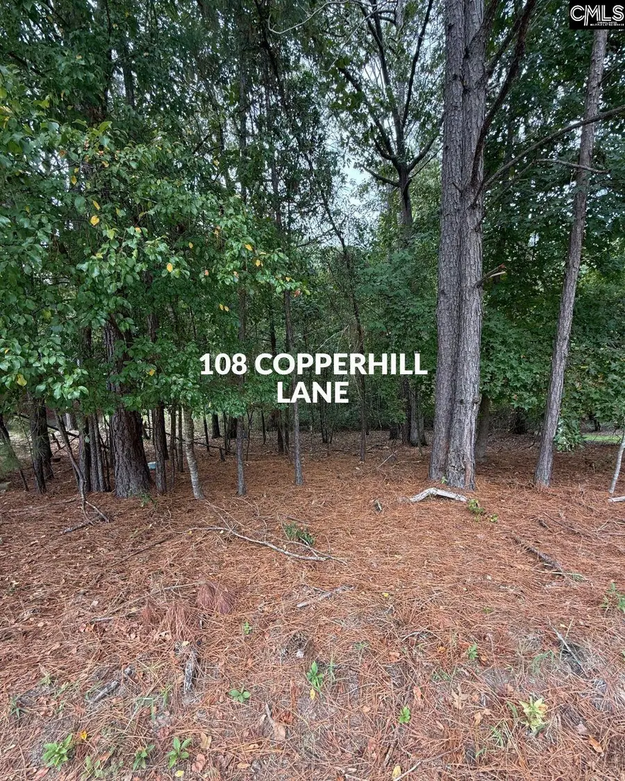 514 Rose Creek Lane, Columbia, SC 29229 - #3