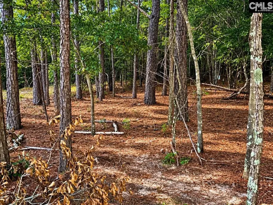 TBD/LOT B Beaker Road, Heath Springs, SC 29058 - #3