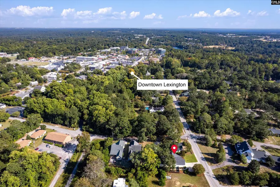 304 Hendrix Street, Lexington, SC 29072 - #2
