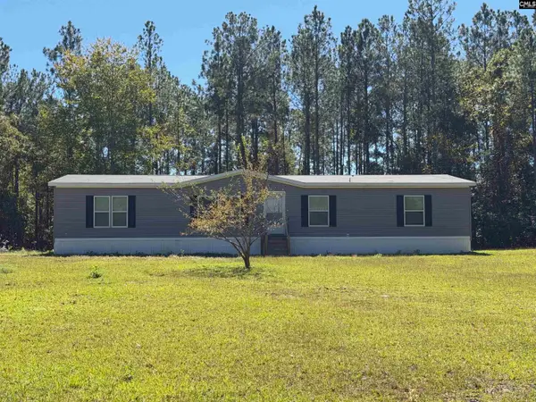 160 Hollow Stump Road, Pelion, SC 29123