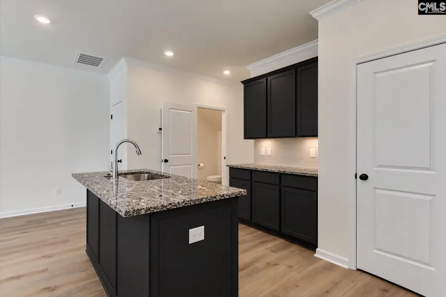 248 Forgotten Trail, Lexington, SC 29072 - #2