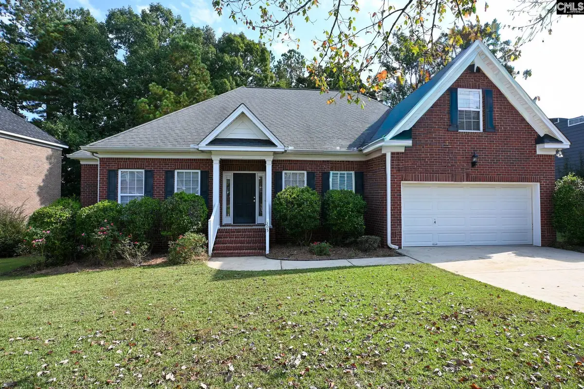 205 Black Walnut Drive, Lexington, SC 29072 - #1