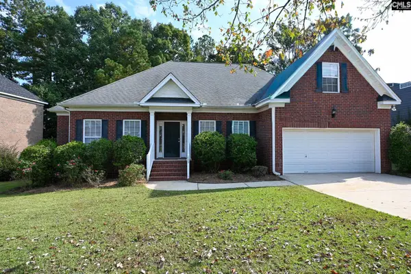 205 Black Walnut Drive, Lexington, SC 29072