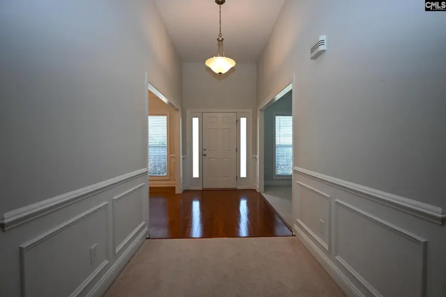 205 Black Walnut Drive, Lexington, SC 29072 - #3
