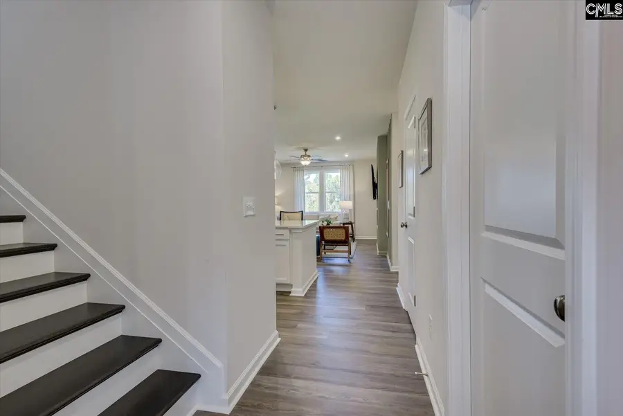 352 Granny's Cut Way, Chapin, SC 29036 - #3