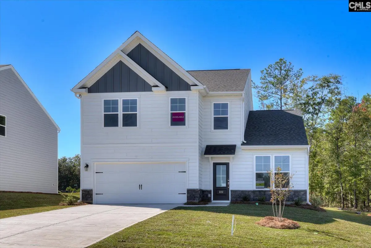 353 Grannys Cut Way, Chapin, SC 29036 - #1