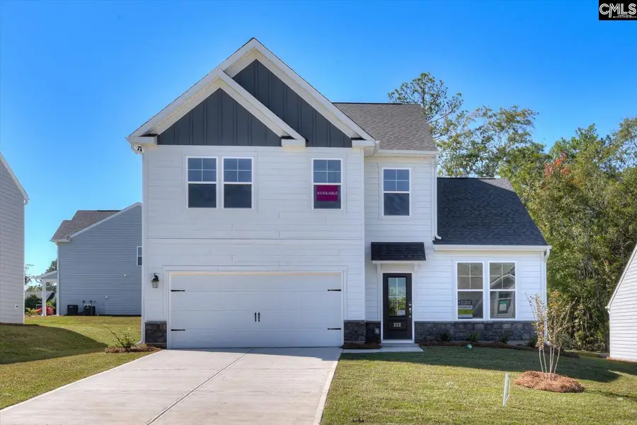 353 Grannys Cut Way, Chapin, SC 29036 - #2